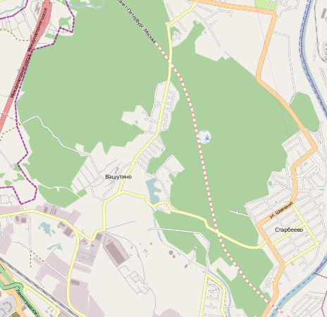 Mapa lasu w Chimkach