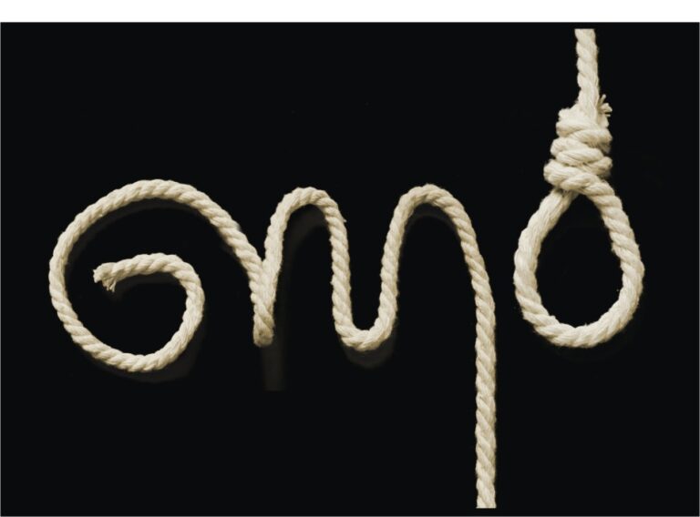 GMO by Zawleczka