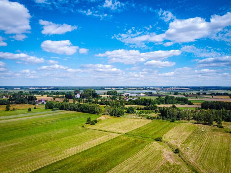 wiejski krajobraz w pogodny dzień