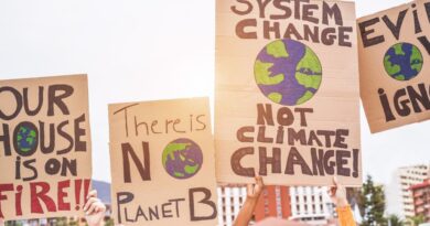 IOŚ-PIB uruchamia polskie Krajowe Centrum Adaptacji do Zmian Klimatu