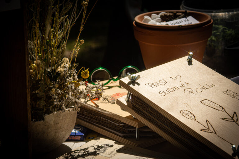 Stanowisko podczas festiwalu.