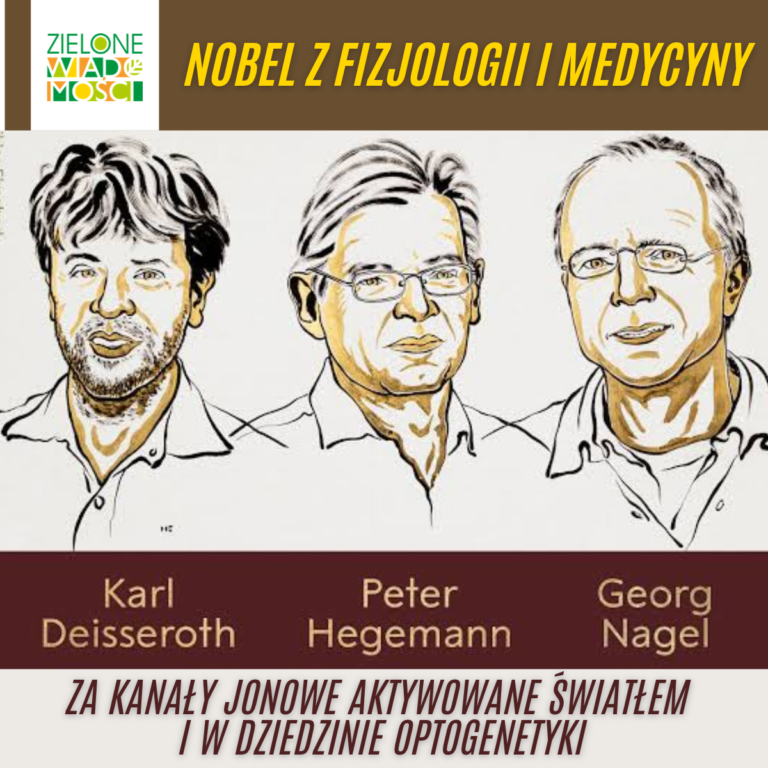Grafika informująca o przyznaniu Nagrody Nobla z fizjologii lub medycyny. Na ilustracji znajdują się portrety trzech laureatów: Karla Deisserotha, Petera Hegemanna i Georga Nagela. U góry widnieje napis „Nobel z fizjologii i medycyny”, a na dole: „Za kanały jonowe aktywowane światłem i w dziedzinie optogenetyki”. W lewym górnym rogu znajduje się logo „Zielone Wiadomości”.