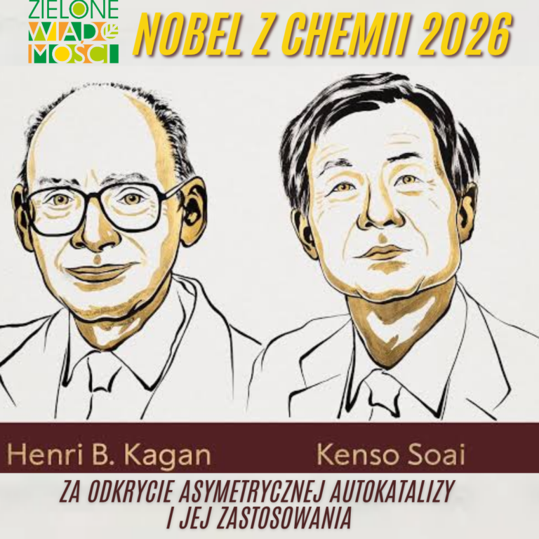 Grafika informująca o Nagrodzie Nobla w dziedzinie chemii 2026. U góry znajduje się logo „Zielone Wiadomości” oraz duży napis „Nobel z chemii 2026”. W centralnej części widnieją dwa rysunkowe portrety laureatów: Henri B. Kagan po lewej i Kenso Soai po prawej. Pod portretami umieszczono ich imiona i nazwiska. Na dole grafiki znajduje się informacja: „Za odkrycie asymetrycznej autokatalizy i jej zastosowania”.