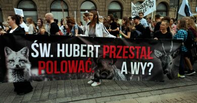 Widzieć inaczej: jak marsz zmienia spojrzenie na zwierzęta