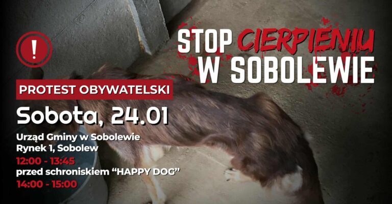 protest w Sobolewie