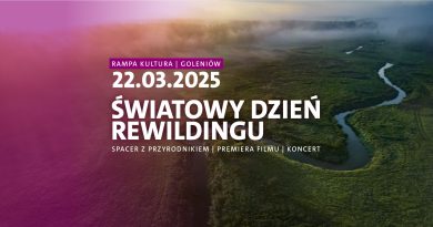 Rewilding – powrót dzikiej przyrody jako szansa dla planety i nowa ścieżka kariery