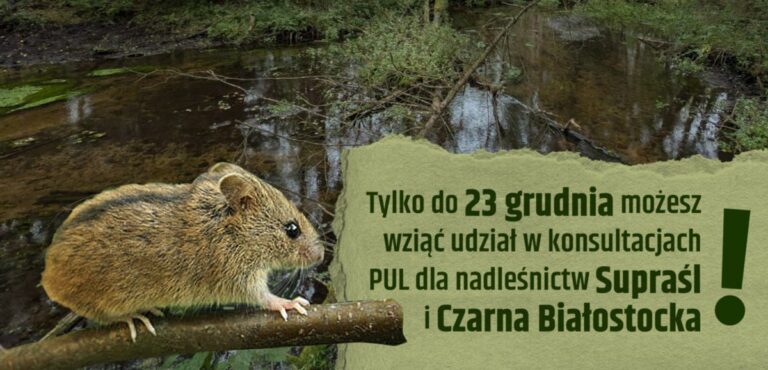 Puszcza Knyszyńska
