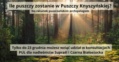 Ile puszczy zostanie w Puszczy Knyszyńskiej? Na ratunek puszczańskim archipelagom