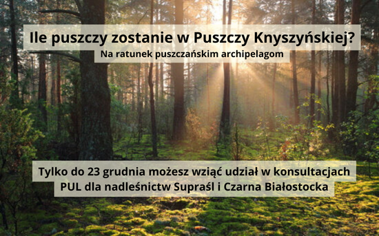 Puszcza Knyszyńska