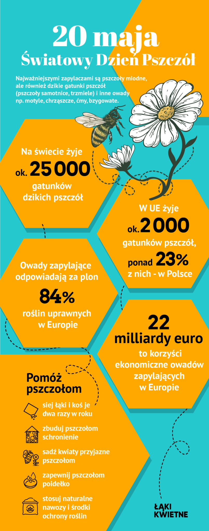 20 Maja Światowy Dzień Pszczół Zielone Wiadomości 8530