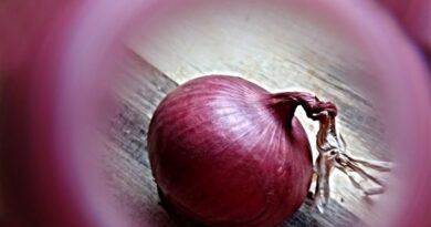 Czerwona cebula z Biedronki, kadm i pilna potrzeba eko-upraw