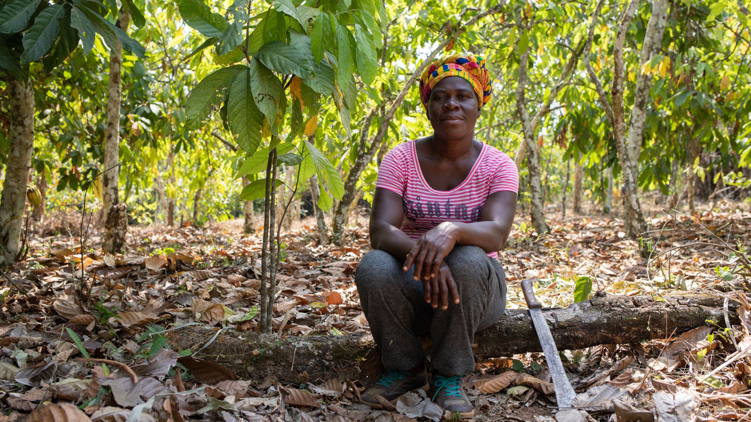 Emelia Debrah, Ghana, fot. Nipah Dennis / Fairtrade Africa