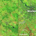 Powódź w Polsce (2024) w zobrazowaniu satelitarnym NASA/USGS, ułatwiającym zidentyfikowanie obszarów zalanych wodą - mają kolor granatowy. Kolory zielone, brązowe i szare oznaczają powierzchnię i obiekty nie pokryte wodą.