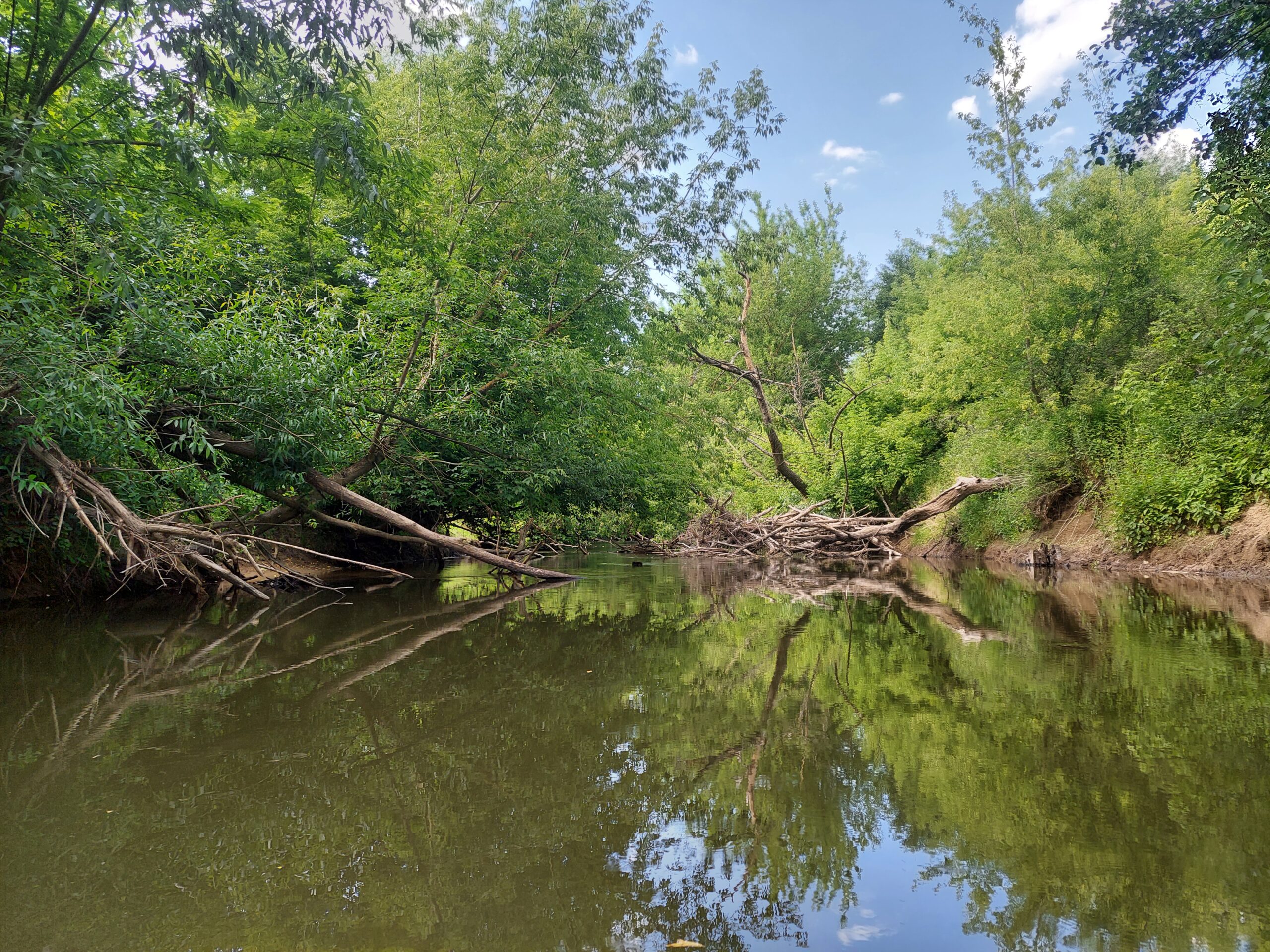 Rzeka Kamienna, obszar Natura 2000 Dolina Kamiennej w Rudzkim Parku Kulturowym (obiekt UNESCO) fot.Łukasz Misiuna