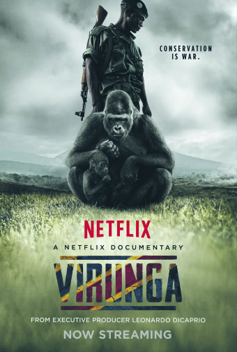 Virunga Plakat