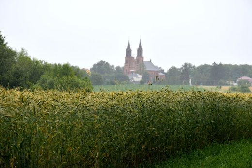 Jak idee z Dolnego Śląska rozprzestrzeniły się na cały świat i zmieniły nasze myślenie o żywności?