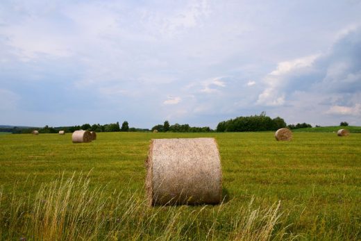 „Rolnictwo ekologiczne historia w Polsce pokazuje, jak zmieniała się świadomość społeczna.
