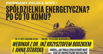 Spółdzielnia energetyczna – po co to komu? Webinar o przyszłości lokalnej energii