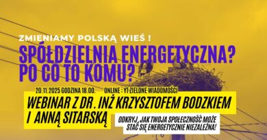 Spółdzielnia energetyczna – po co to komu? Webinar o przyszłości lokalnej energii