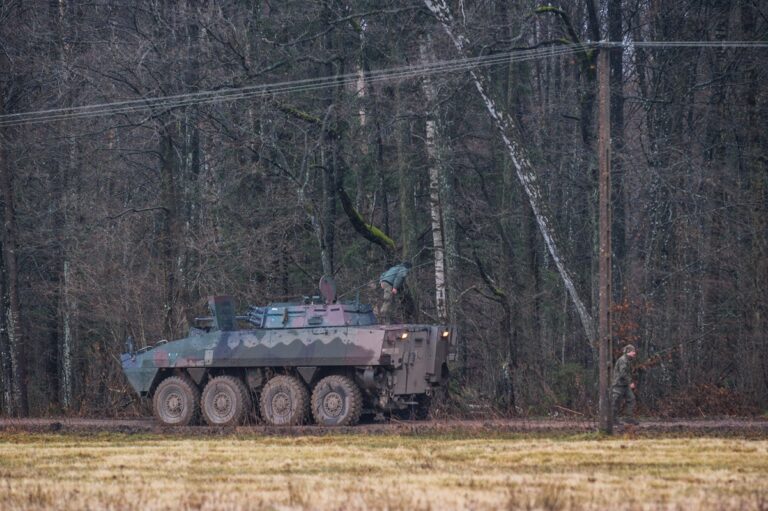 Puszcza Białowieska