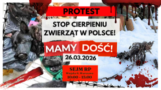 Stop cierpieniu zwierząt