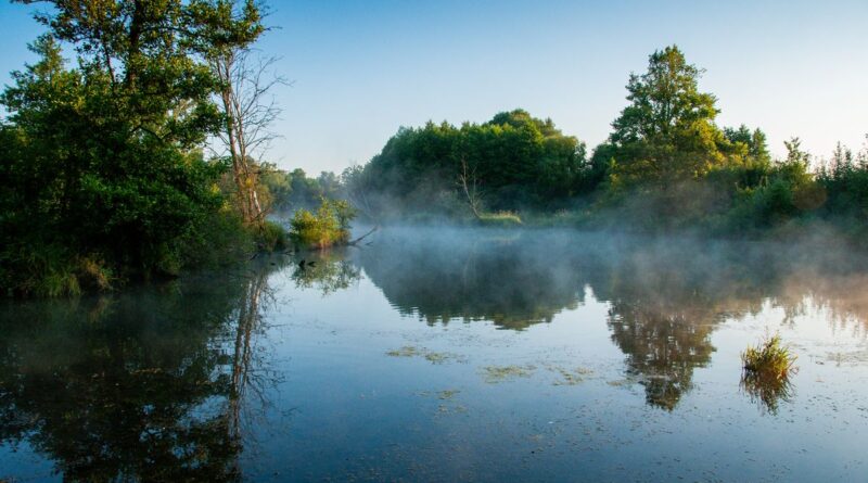 starorzecze Kamiennej obszar Natura 2000 Dolina Kamiennej w Rudzkim Parku Kulturowym fot. Piotr Kiljański