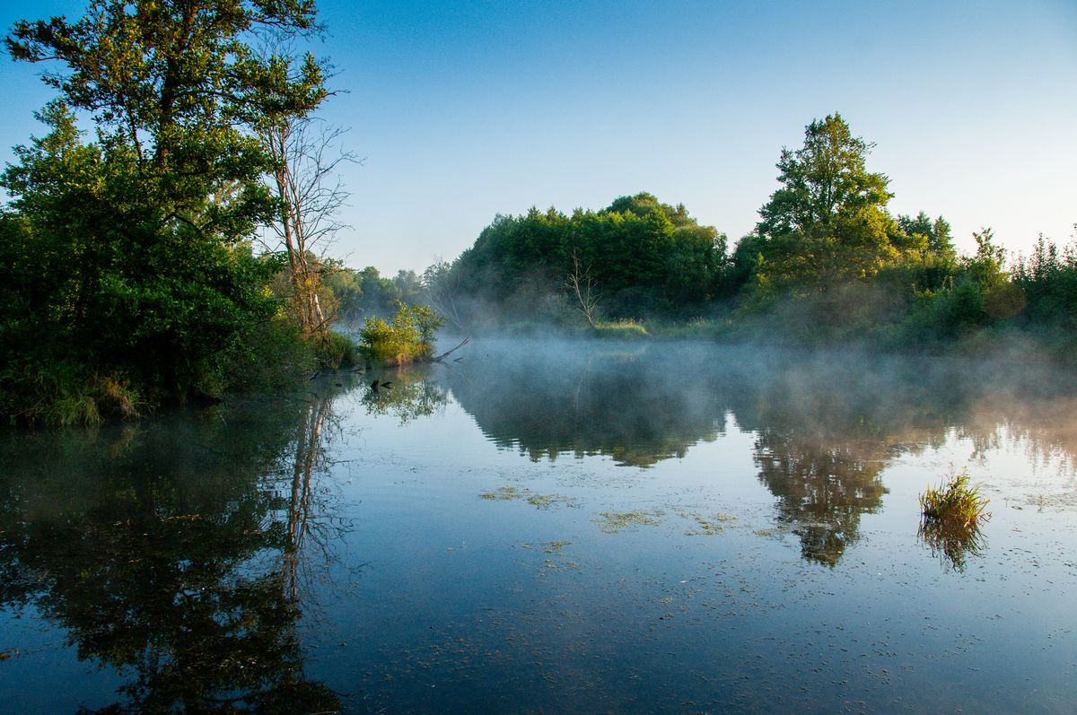 starorzecze Kamiennej obszar Natura 2000 Dolina Kamiennej w Rudzkim Parku Kulturowym fot. Piotr Kiljański